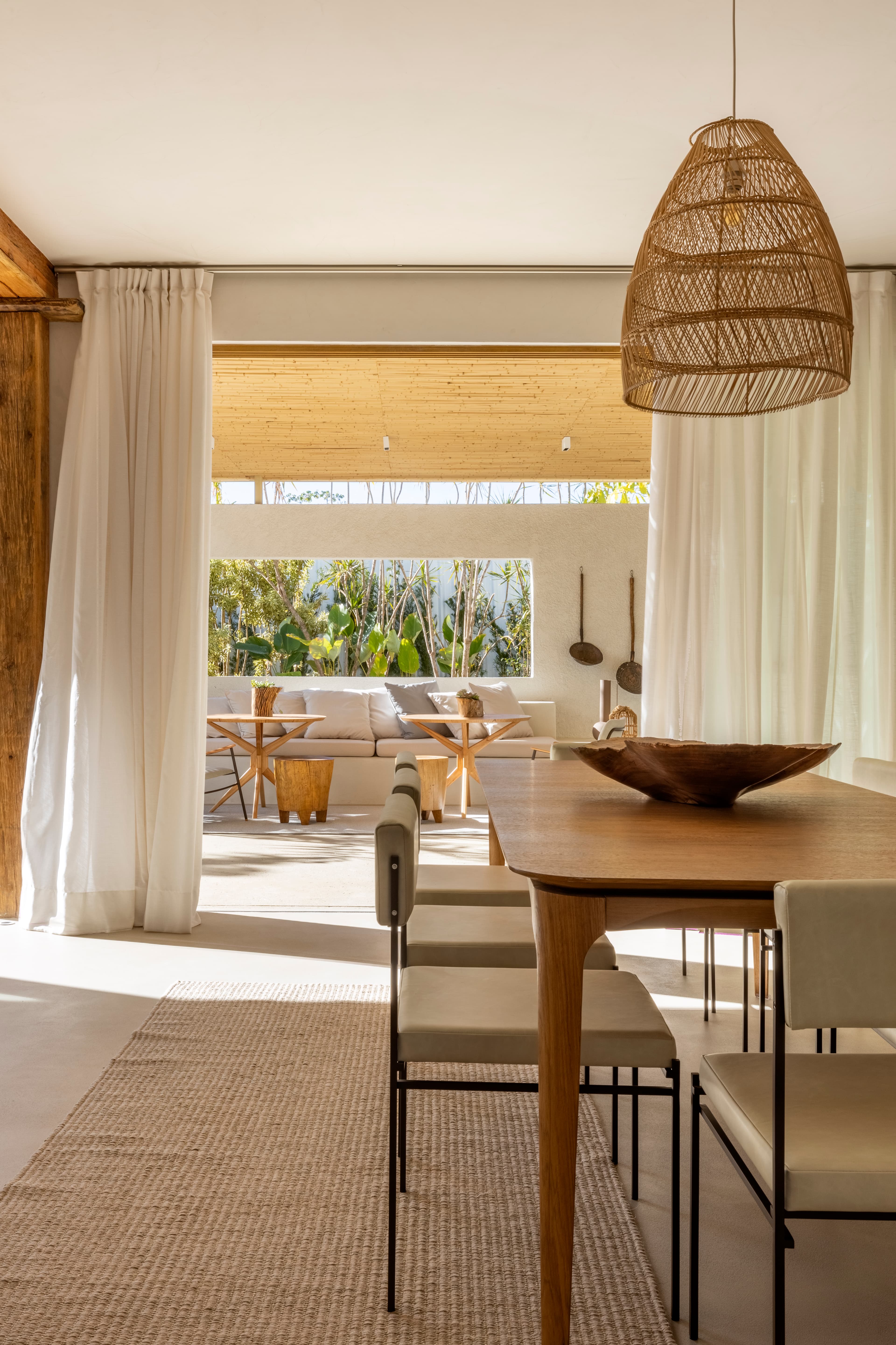 Capim Cidró - Imagem 1