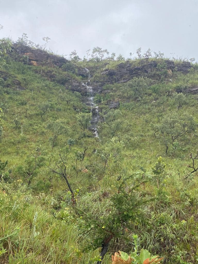 Vale Verde - Imagem 1